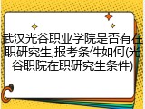 武汉光谷职业学院是否有在职研究生,报考条件如何(光谷职院在职研究生条件)