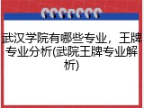 武汉学院有哪些专业，王牌专业分析(武院王牌专业解析)