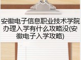 安徽电子信息职业技术学院办理入学有什么攻略没(安徽电子入学攻略)