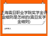 上海震旦职业学院奖学金评定细则是怎样的(震旦奖学金细则)