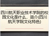 四川航天职业技术学院的校园文化是什么，简介(四川航天学院文化特色)