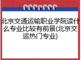 北京交通运输职业学院读什么专业比较有前景(北京交运热门专业)