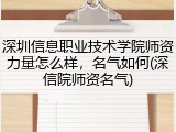 深圳信息职业技术学院师资力量怎么样，名气如何(深信院师资名气)