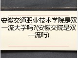 安徽交通职业技术学院是双一流大学吗?(安徽交院是双一流吗)