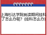 上海杉达学院就读期间挂科了怎么办呢？(挂科怎么办)