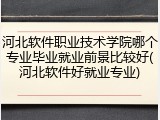 河北软件职业技术学院哪个专业毕业就业前景比较好(河北软件好就业专业)