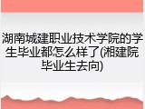 湖南城建职业技术学院的学生毕业都怎么样了(湘建院毕业生去向)
