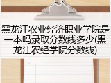 黑龙江农业经济职业学院是一本吗录取分数线多少(黑龙江农经学院分数线)
