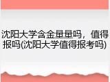 沈阳大学含金量量吗，值得报吗(沈阳大学值得报考吗)