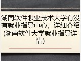 湖南软件职业技术大学有没有就业指导中心，详细介绍(湖南软件大学就业指导详情)