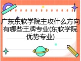 广东东软学院主攻什么方向有哪些王牌专业(东软学院优势专业)