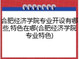 合肥经济学院专业开设有哪些,特色在哪(合肥经济学院专业特色)