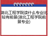 湖北工程学院读什么专业比较有前景(湖北工程学院前景专业)
