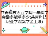 共青科技职业学院一年奖学金最多能拿多少(共青科技职业学院奖学金上限)
