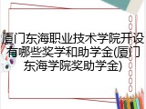 厦门东海职业技术学院开设有哪些奖学和助学金(厦门东海学院奖助学金)