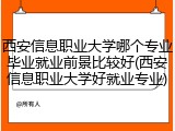 西安信息职业大学哪个专业毕业就业前景比较好(西安信息职业大学好就业专业)