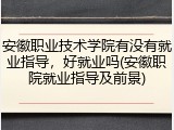 安徽职业技术学院有没有就业指导，好就业吗(安徽职院就业指导及前景)