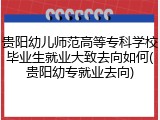 贵阳幼儿师范高等专科学校毕业生就业大致去向如何(贵阳幼专就业去向)