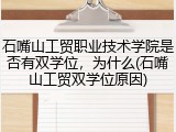 石嘴山工贸职业技术学院是否有双学位，为什么(石嘴山工贸双学位原因)