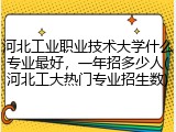 河北工业职业技术大学什么专业最好，一年招多少人(河北工大热门专业招生数)