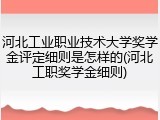 河北工业职业技术大学奖学金评定细则是怎样的(河北工职奖学金细则)