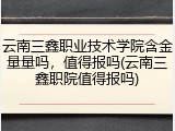 云南三鑫职业技术学院含金量量吗，值得报吗(云南三鑫职院值得报吗)