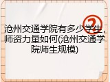 沧州交通学院有多少学生，师资力量如何(沧州交通学院师生规模)