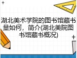 湖北美术学院的图书馆藏书量如何，简介(湖北美院图书馆藏书概况)
