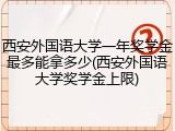 西安外国语大学一年奖学金最多能拿多少(西安外国语大学奖学金上限)