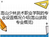 嵩山少林武术职业学院的专业设置概况介绍(嵩山武院专业概览)