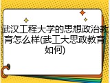 武汉工程大学的思想政治教育怎么样(武工大思政教育如何)