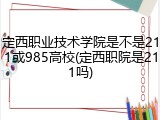 定西职业技术学院是不是211或985高校(定西职院是211吗)