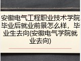 安徽电气工程职业技术学院毕业后就业前景怎么样，毕业生去向(安徽电气学院就业去向)