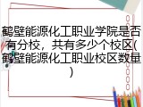 鹤壁能源化工职业学院是否有分校，共有多少个校区(鹤壁能源化工职业校区数量)