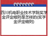 四川机电职业技术学院奖学金评定细则是怎样的(奖学金评定细则)