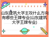 山东建筑大学主攻什么方向有哪些王牌专业(山东建筑大学王牌专业)