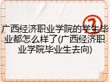 广西经济职业学院的学生毕业都怎么样了(广西经济职业学院毕业生去向)