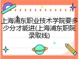 上海浦东职业技术学院要多少分才能进(上海浦东职院录取线)