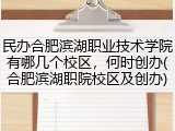 民办合肥滨湖职业技术学院有哪几个校区，何时创办(合肥滨湖职院校区及创办)