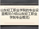 山东轻工职业学院的专业设置概况介绍(山东轻工职业学院专业概览)