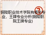 铜陵职业技术学院有哪些专业，王牌专业分析(铜陵职院王牌专业)