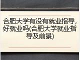 合肥大学有没有就业指导，好就业吗(合肥大学就业指导及前景)