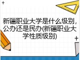 新疆职业大学是什么级别，公办还是民办(新疆职业大学性质级别)