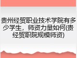 贵州经贸职业技术学院有多少学生，师资力量如何(贵经贸职院规模师资)