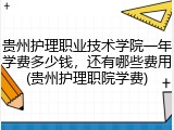 贵州护理职业技术学院一年学费多少钱，还有哪些费用(贵州护理职院学费)