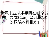 武汉职业技术学院在哪个城市，是本科吗，第几批(武汉职院本科批次)