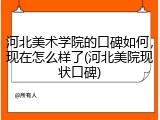 河北美术学院的口碑如何，现在怎么样了(河北美院现状口碑)