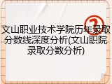 文山职业技术学院历年录取分数线深度分析(文山职院录取分数分析)