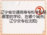 辽宁省交通高等专科学校是哪里的学校，在哪个城市(辽宁交专在沈阳)