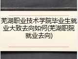 芜湖职业技术学院毕业生就业大致去向如何(芜湖职院就业去向)